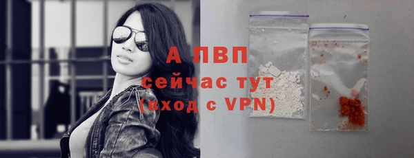 спиды Бронницы