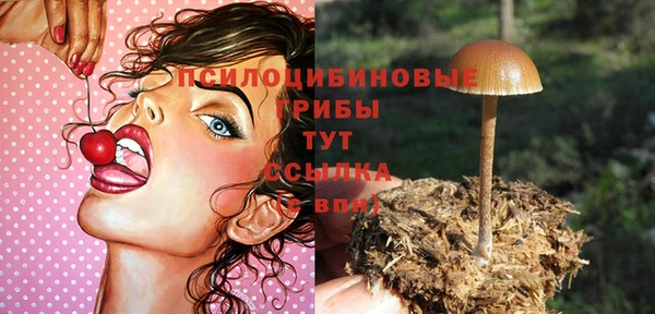 спиды Бронницы
