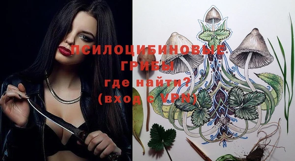 спиды Бородино