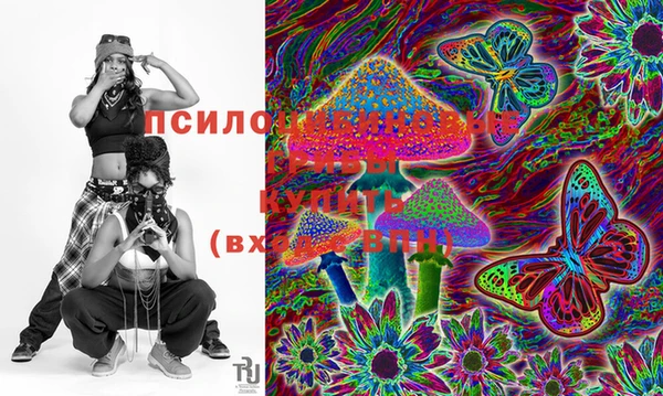 спиды Бородино