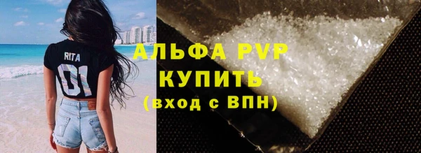спиды Бородино